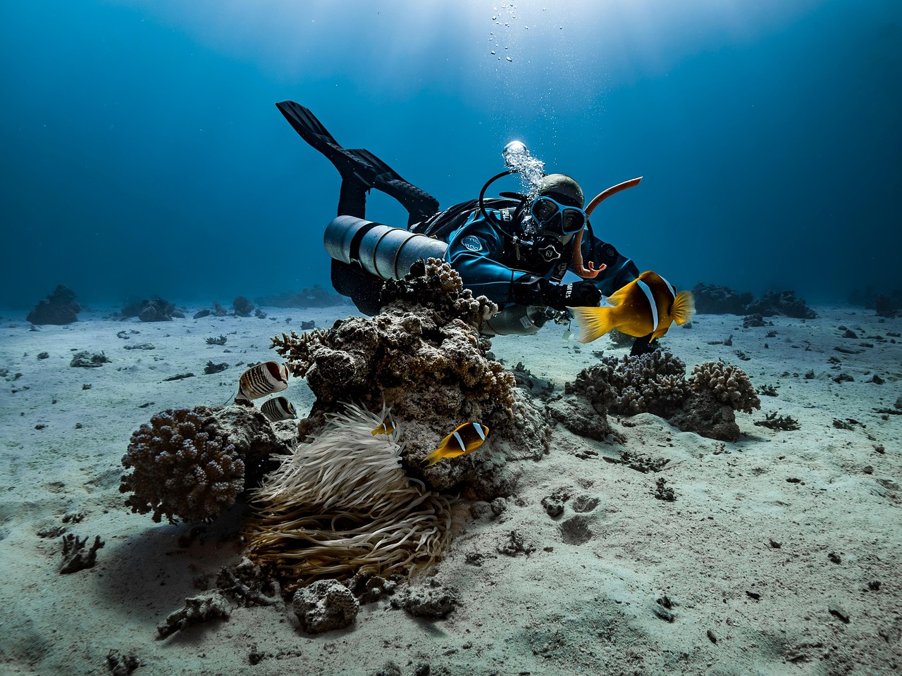 Here are some tips for taking photos underwater