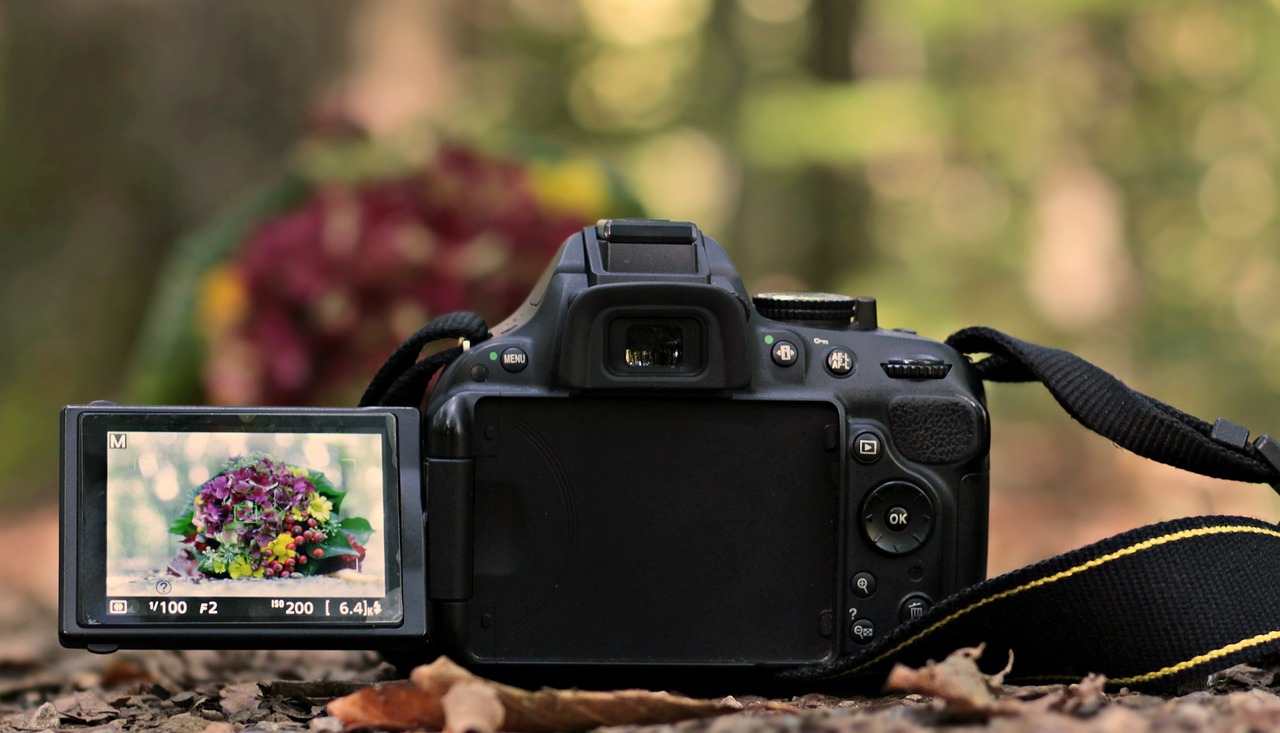 Digital photography The new way to take pictures